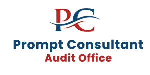 audit Logo